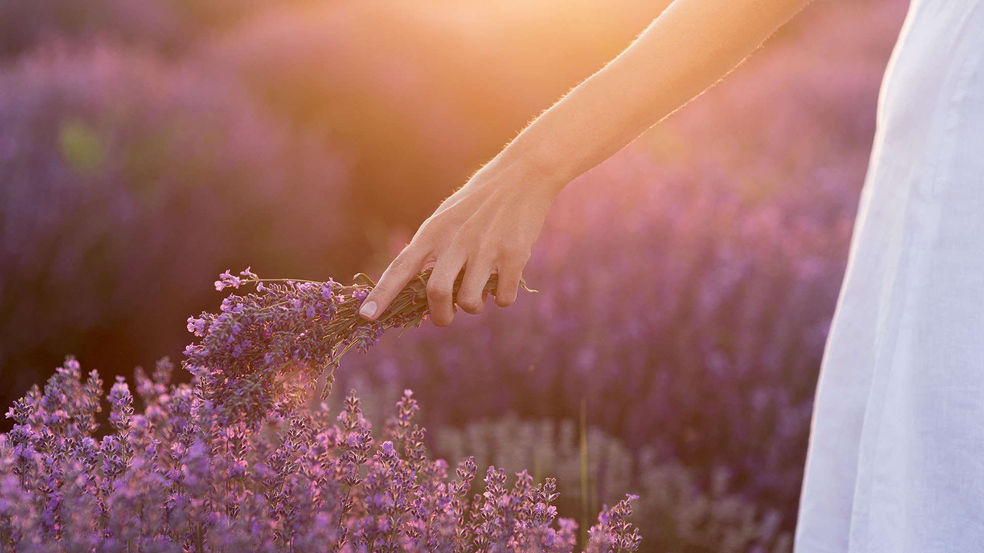 Beautiful enjoying nature concept